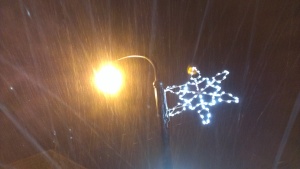I Love the Snowflakes in Shorewood